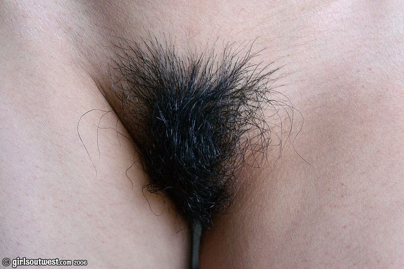 naughty hairy nudes