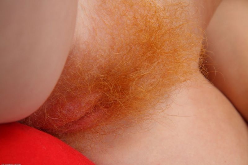 anal close up hairy redheads pussy