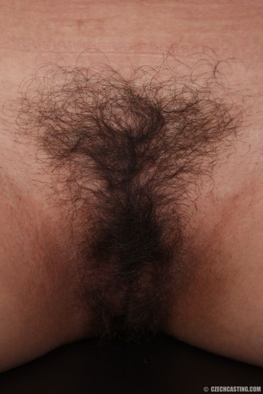 mature hairy pussy dp