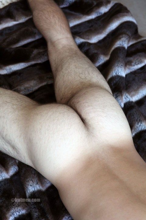 hairy gay cock compilation