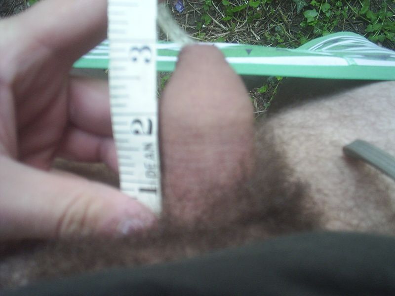 size penis for anal sex
