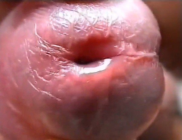 hot penis close up
