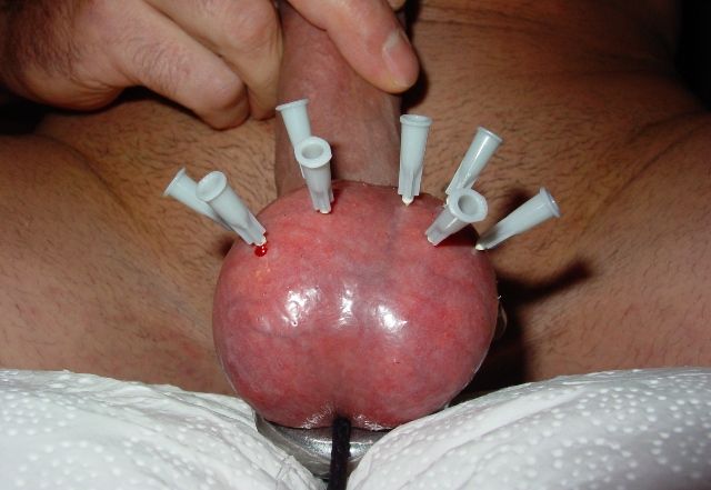 femdom male anal insertion gif