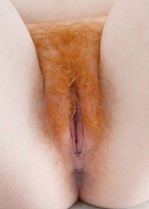 hairy ginger cougar