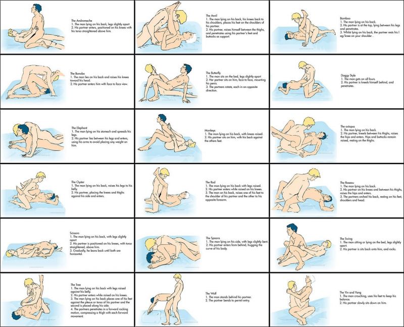 Sex Positions By N