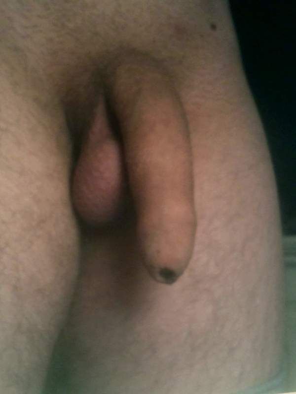 hard dick with foreskin