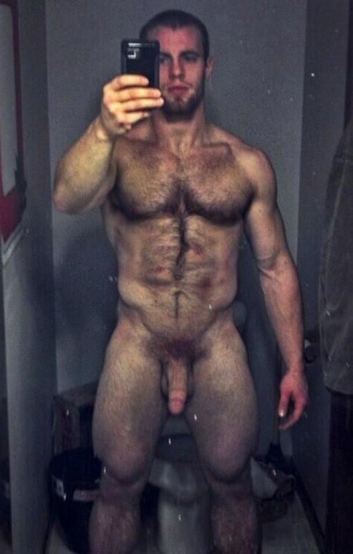 art male nude muscle gay