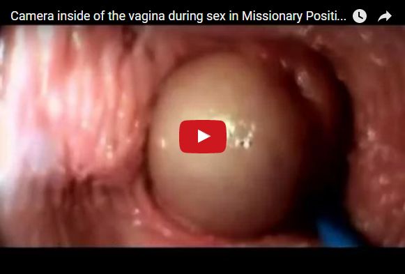 penis inside vagina gif