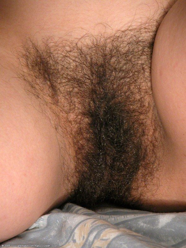 hairy pussy ass penetration