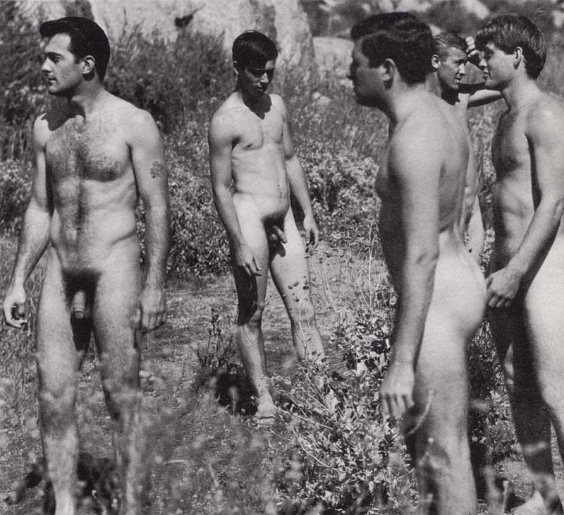 hairy gay vintage male nudes