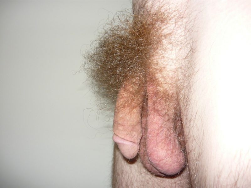 men with hairy pubes nude cum