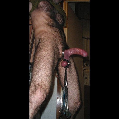 tied up male ass