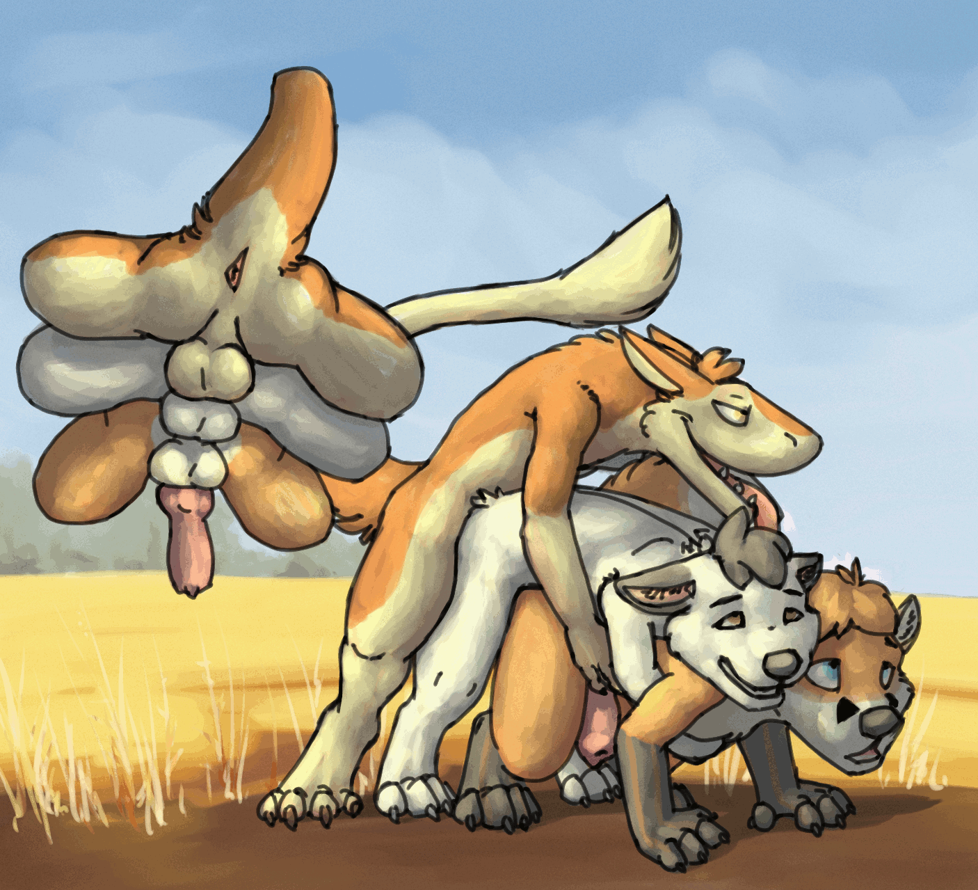 pussy after mating