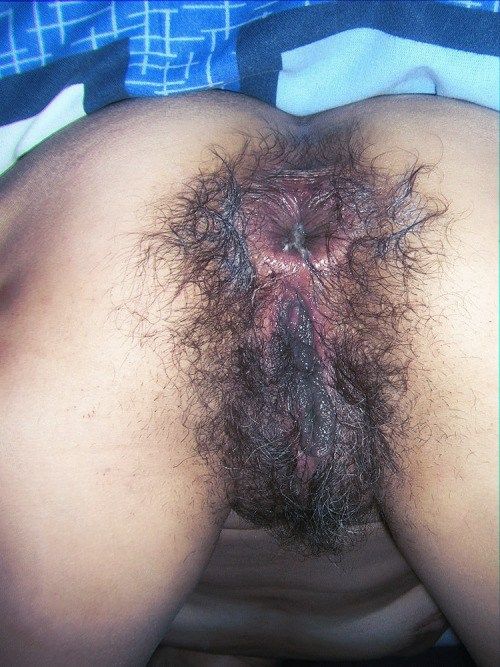 Hairy Buttholes Tumblr