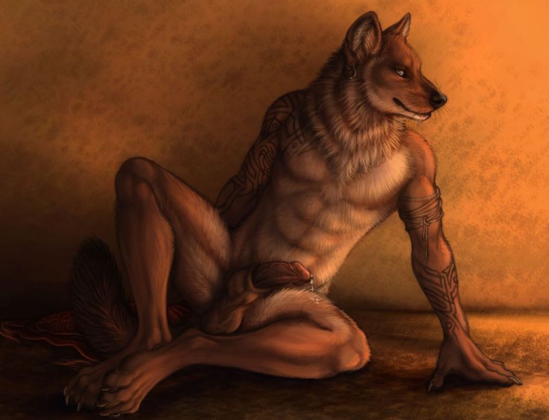 H Furry Wolf - Sexdicted. 
