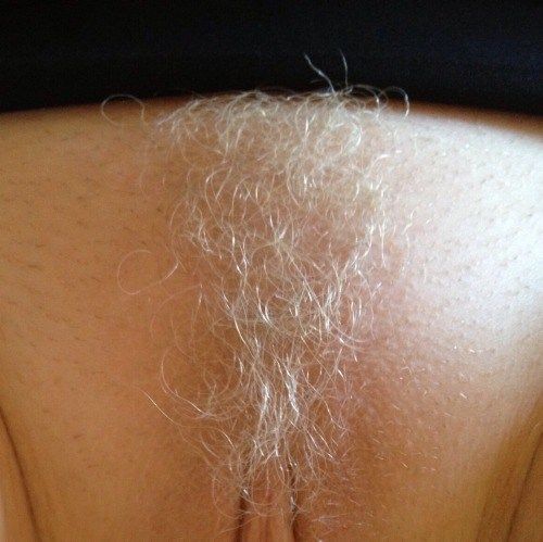 perfect hairy pussy brunette