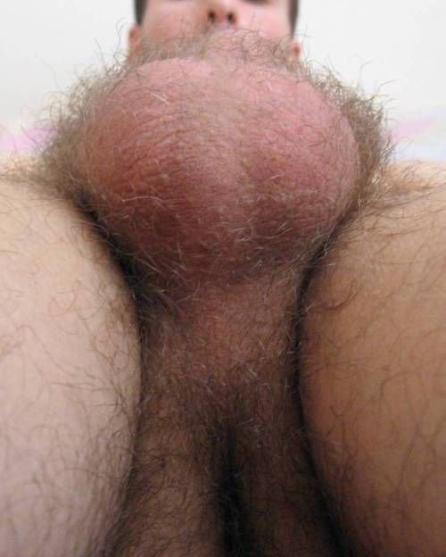 naked mature men hairy ass