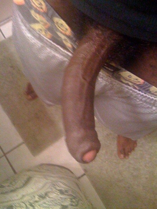 huge erect cock penis