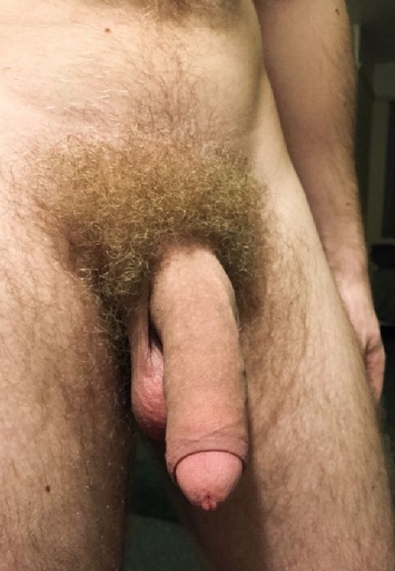 hairy soft cock selfie