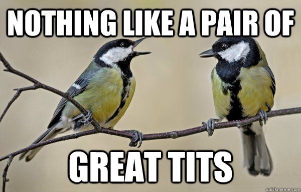 beautiful tits great pussy