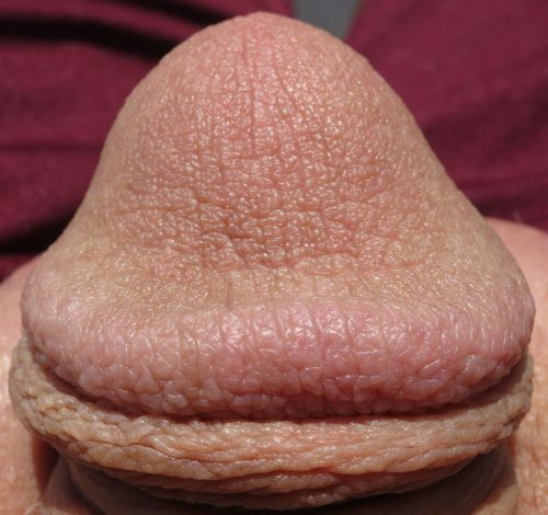 close up dick cumming mouth gif