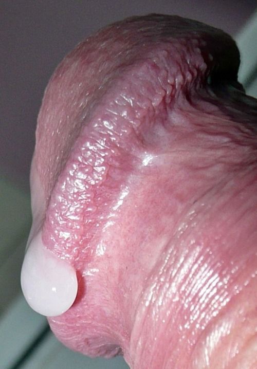 naked pussy licking close up
