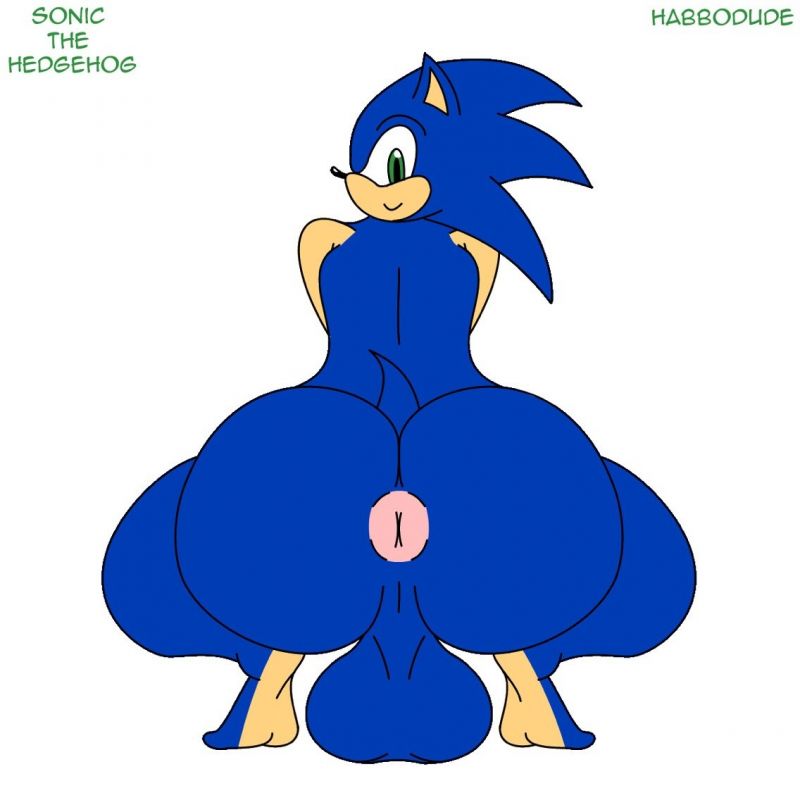 Sonic The Hedgehog Gay Porn - Sonic The Hedgehog Gay Porn - Sexdicted