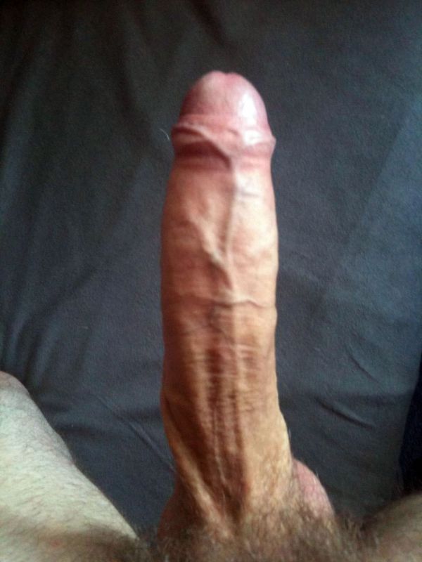 600px x 800px - Amateur Big White Cock Selfie - Sexdicted