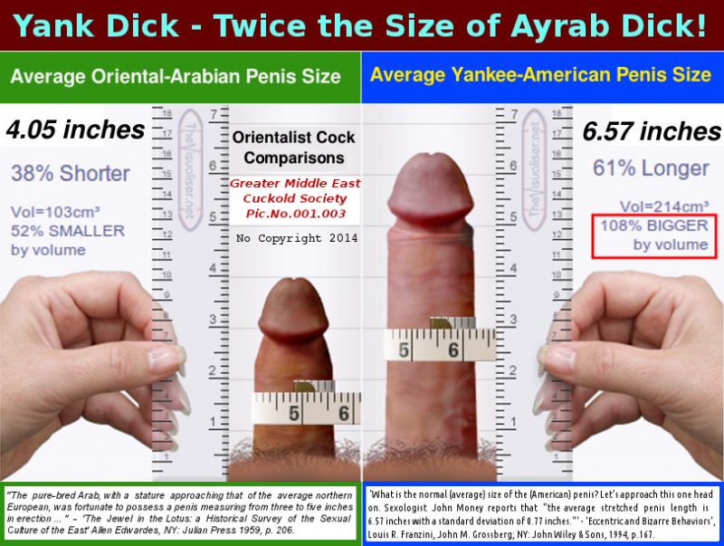 average pornstar size