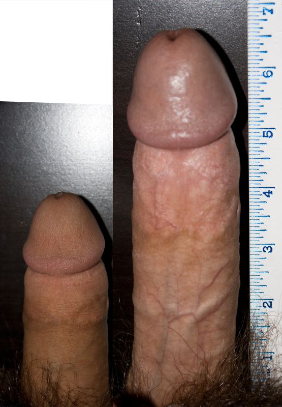 nude men average penis size
