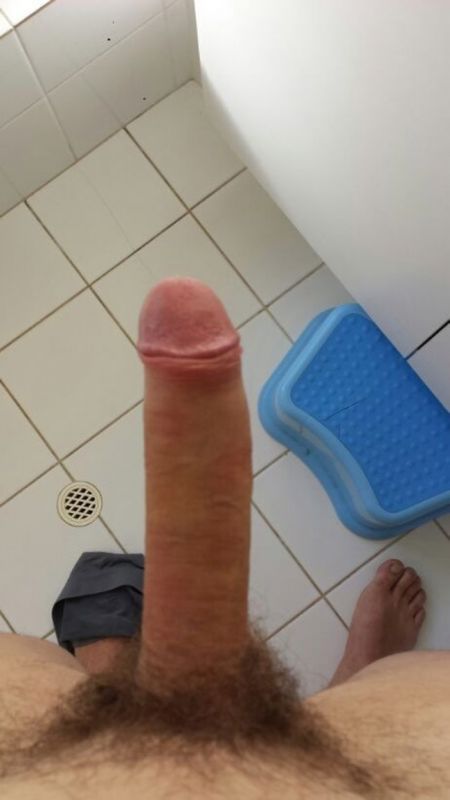 gay erect penis