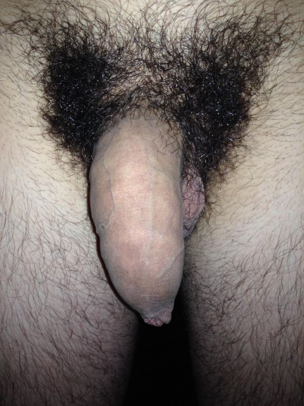 hairy uncut male penis