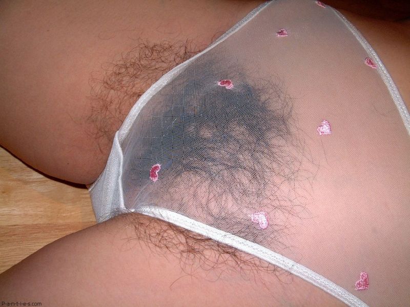 see through panties hairy pussy