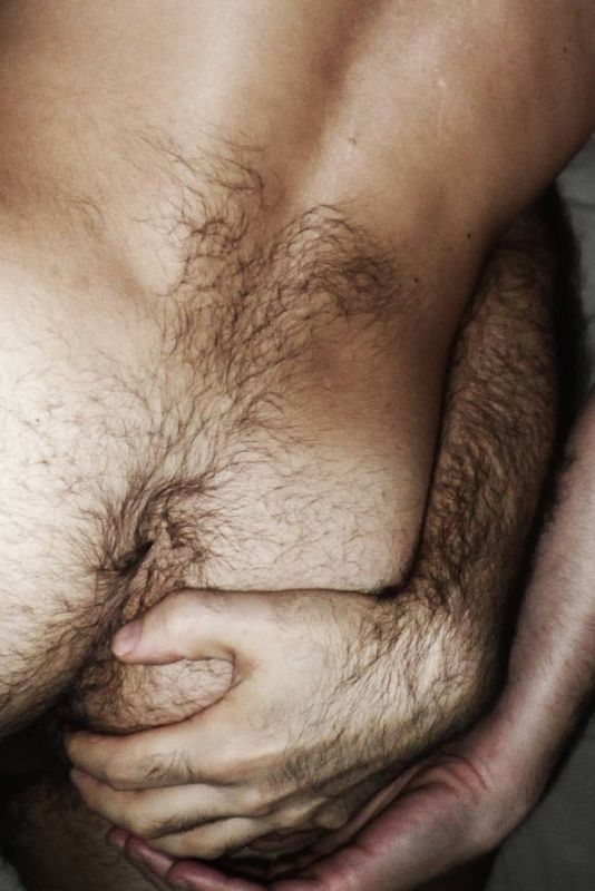 male hairy ass gay porn