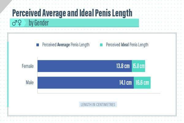 hairy average penis size