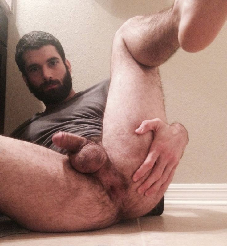 gay hairy uncut penis