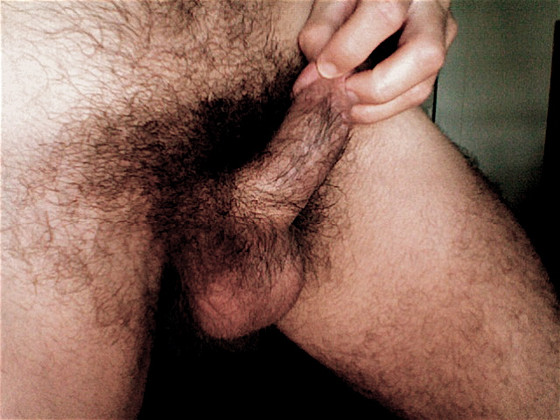 uncut cock hairy crotch