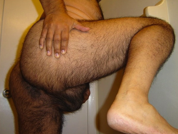 hairy man bulge