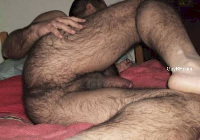 hard hairy gay muscle ass
