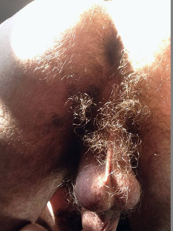 very hairy nude men