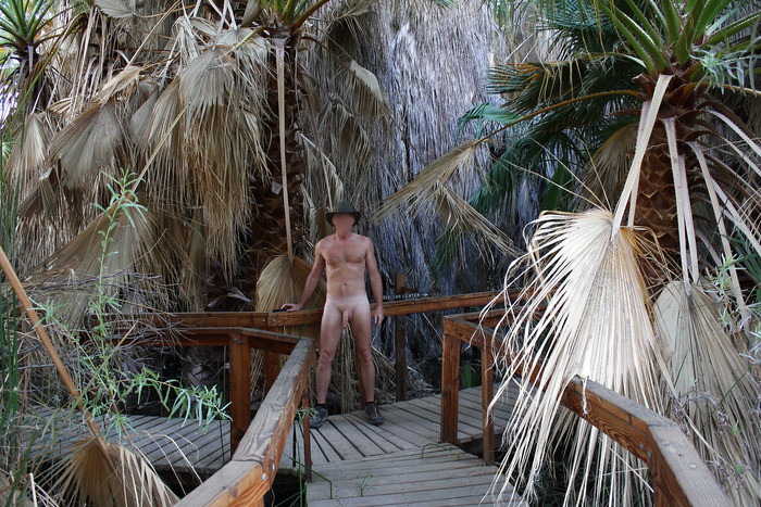 indulge palm springs gay resort