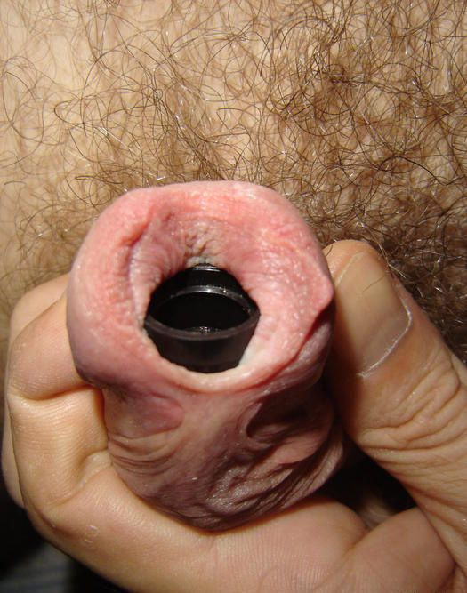 penis toy vaginal