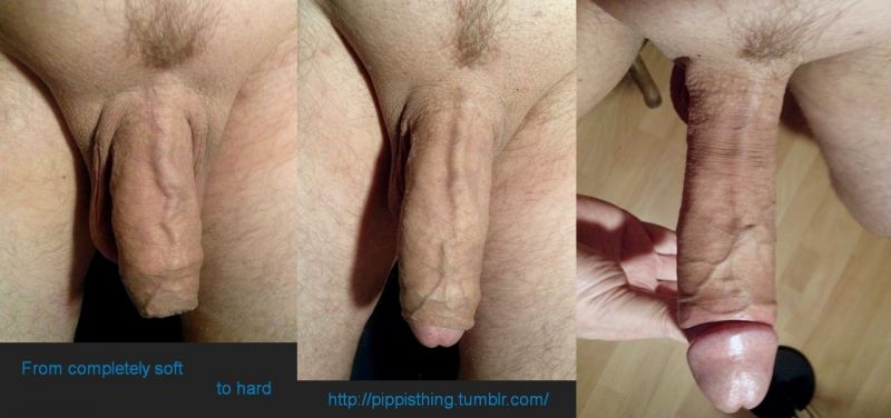 my hairy uncut cock