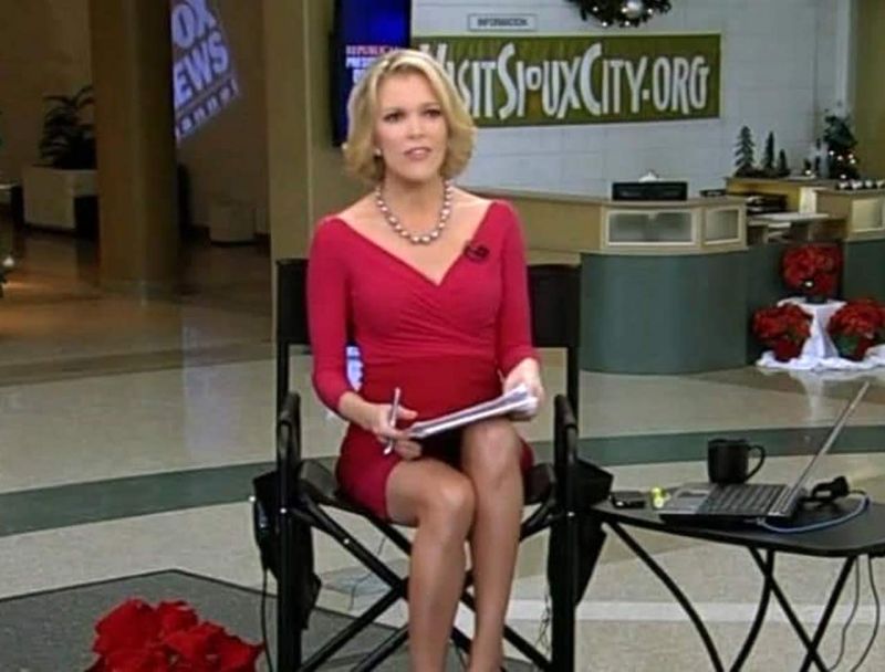 megyn kelly hottest pictures