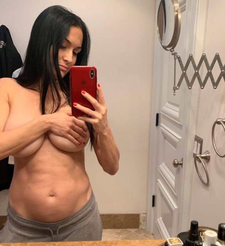 Bella Twins Tits - Sexdicted