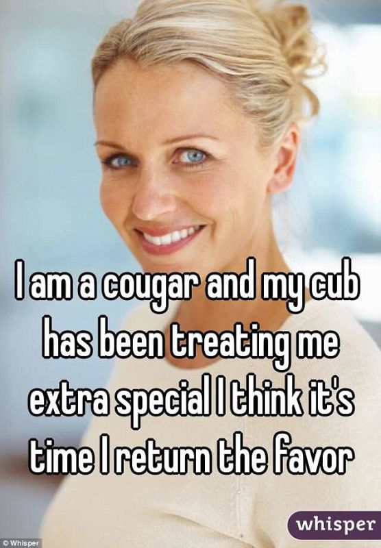 cougar lover