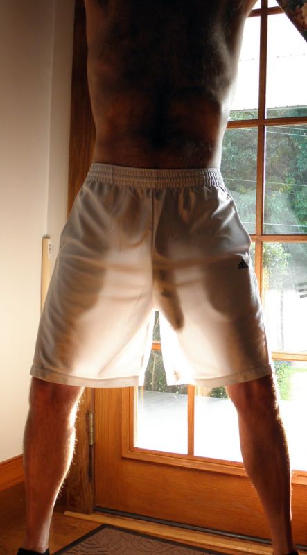 ass cock bulge shorts