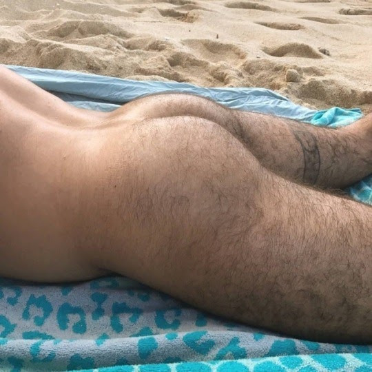 perfect hairy man ass
