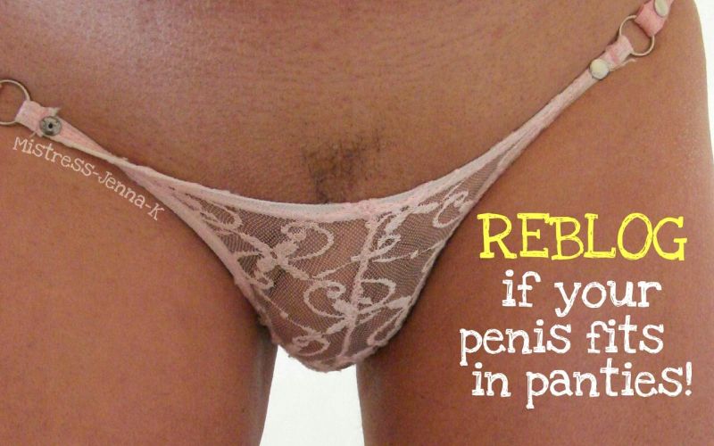 penis in underwear