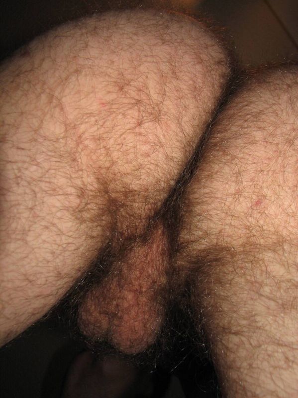 nude hairy men cum